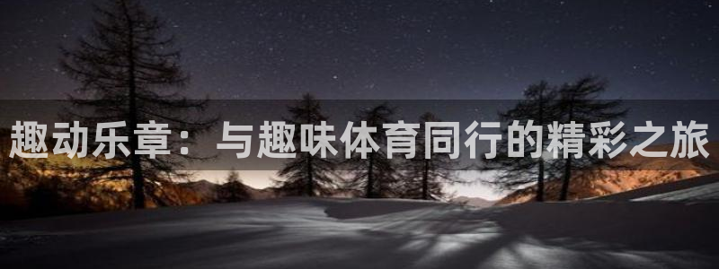 趣动乐章：与趣味体育同行的精彩之旅