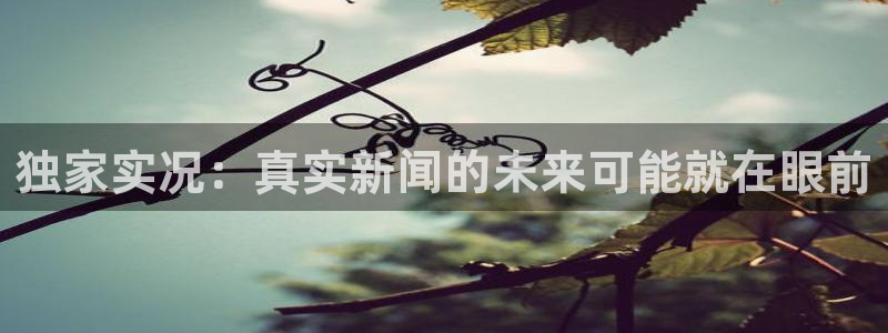 独家实况：真实新闻的未来可能就在眼前