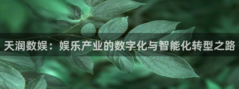 天润数娱：娱乐产业的数字化与智能化转型之路