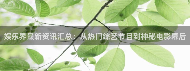 娱乐界最新资讯汇总：从热门综艺节目到神秘电影幕后