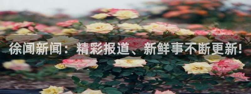 徐闻新闻：精彩报道、新鲜事不断更新!