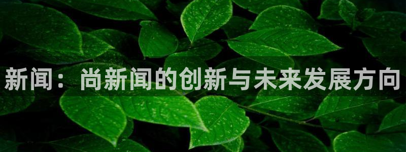 新闻：尚新闻的创新与未来发展方向
