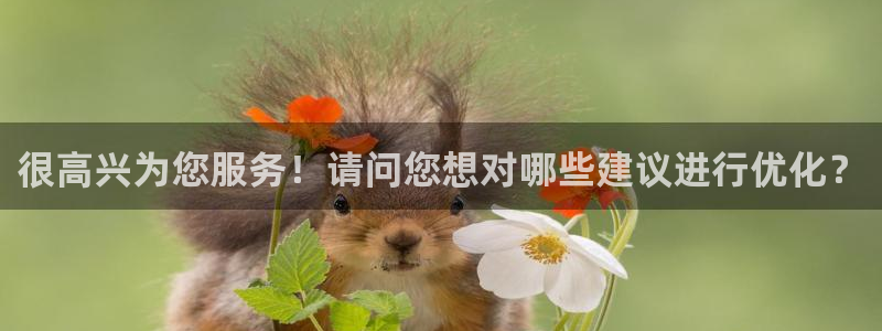 很高兴为您服务！请问您想对哪些建议进行优化？