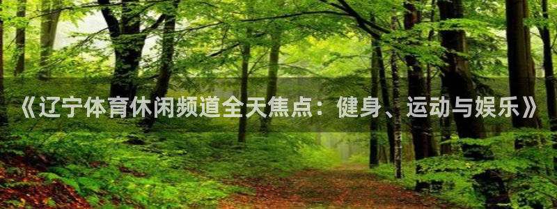《辽宁体育休闲频道全天焦点：健身、运动与娱乐》