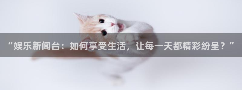 “娱乐新闻台：如何享受生活，让每一天都精彩纷呈？”