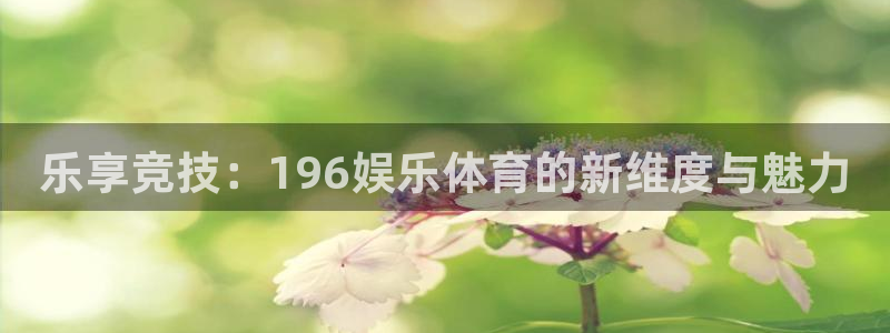 乐享竞技：196娱乐体育的新维度与魅力