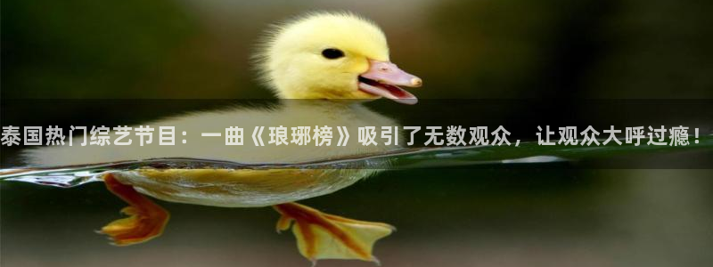 泰国热门综艺节目：一曲《琅琊榜》吸引了无数观众，让观众大呼过瘾！