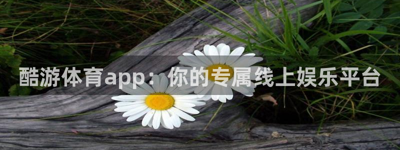 酷游体育app：你的专属线上娱乐平台