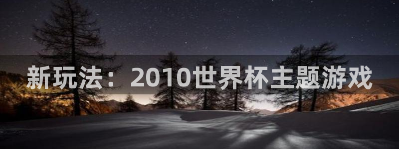 新玩法：2010世界杯主题游戏