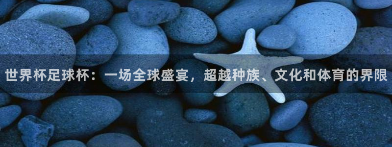 世界杯足球杯：一场全球盛宴，超越种族、文化和体育的界限