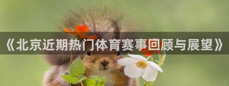 《北京近期热门体育赛事回顾与展望》