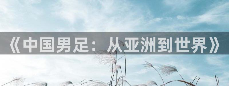 《中国男足：从亚洲到世界》
