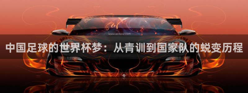 中国足球的世界杯梦：从青训到国家队的蜕变历程