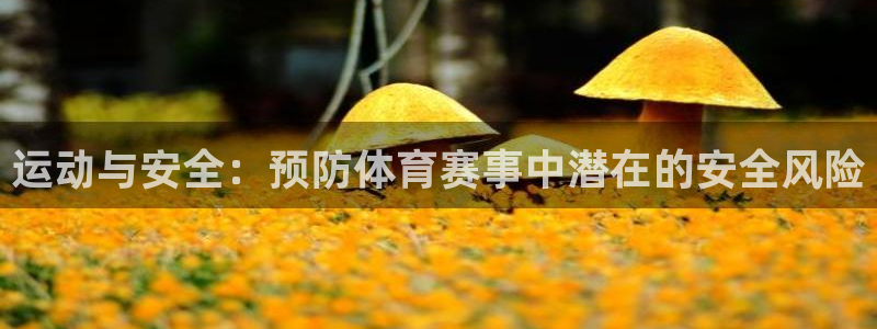运动与安全：预防体育赛事中潜在的安全风险
