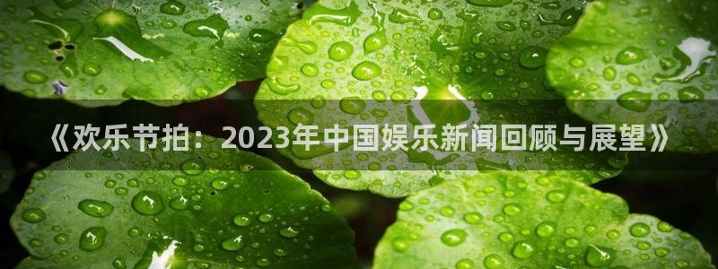 《欢乐节拍：2023年中国娱乐新闻回顾与展望》