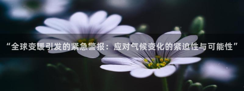 “全球变暖引发的紧急警报：应对气候变化的紧迫性与可能性”