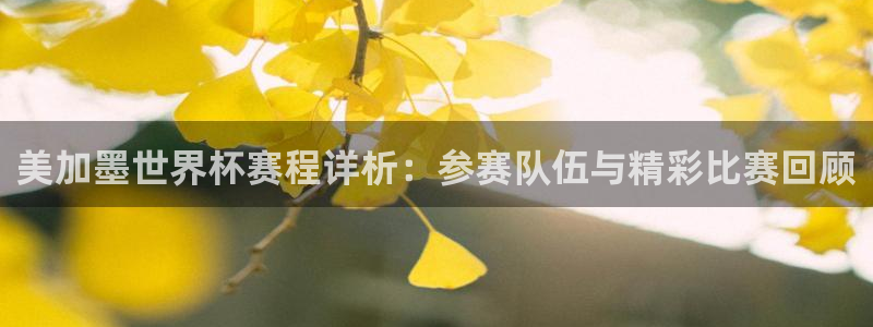 美加墨世界杯赛程详析：参赛队伍与精彩比赛回顾