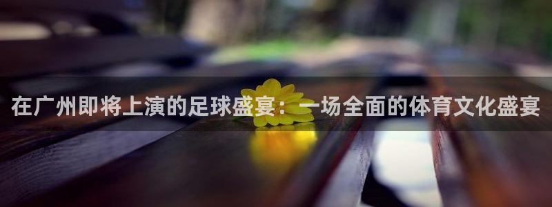 在广州即将上演的足球盛宴：一场全面的体育文化盛宴