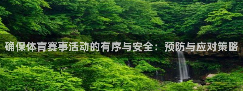 确保体育赛事活动的有序与安全：预防与应对策略