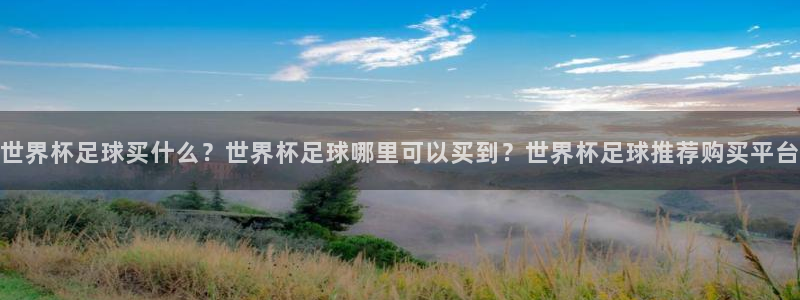 世界杯足球买什么？世界杯足球哪里可以买到？世界杯足球推荐购买平台