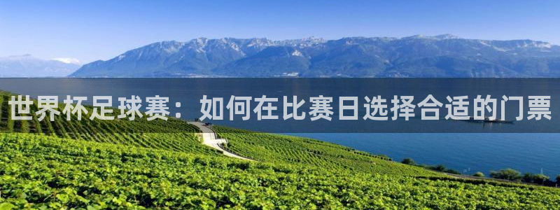世界杯足球赛：如何在比赛日选择合适的门票