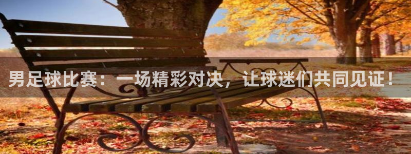 男足球比赛：一场精彩对决，让球迷们共同见证！