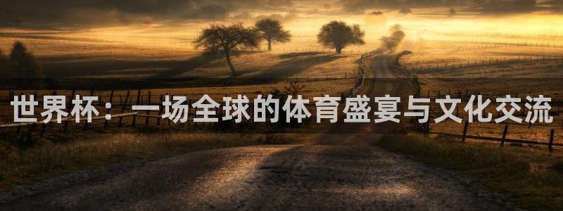 世界杯：一场全球的体育盛宴与文化交流