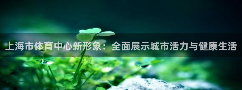 上海市体育中心新形象：全面展示城市活力与健康生活