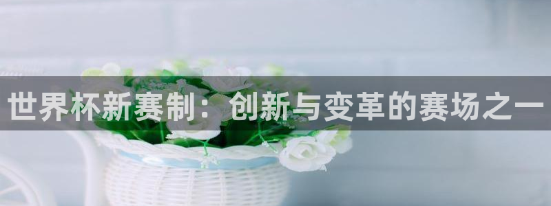 世界杯新赛制：创新与变革的赛场之一