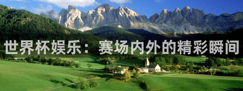 世界杯娱乐：赛场内外的精彩瞬间