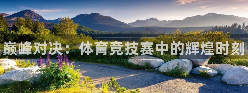 巅峰对决：体育竞技赛中的辉煌时刻