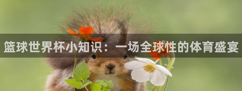 篮球世界杯小知识：一场全球性的体育盛宴