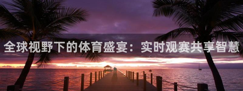 全球视野下的体育盛宴：实时观赛共享智慧