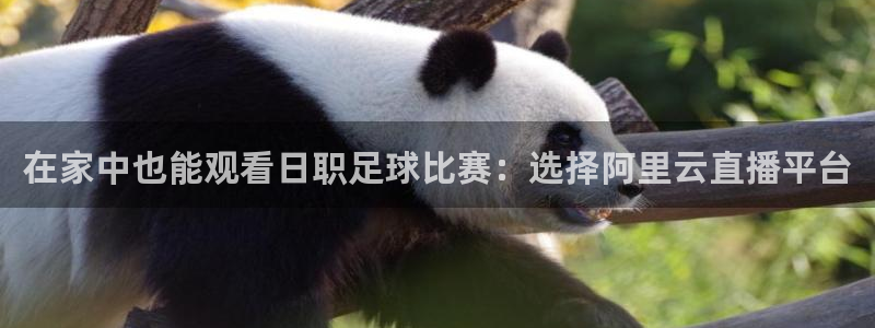 在家中也能观看日职足球比赛：选择阿里云直播平台