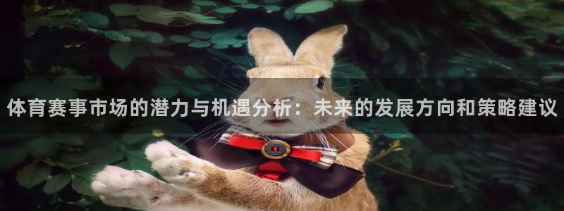 体育赛事市场的潜力与机遇分析：未来的发展方向和策略建议