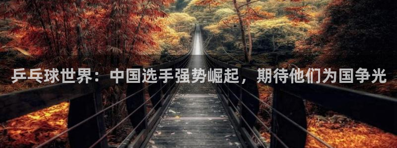 乒乓球世界：中国选手强势崛起，期待他们为国争光