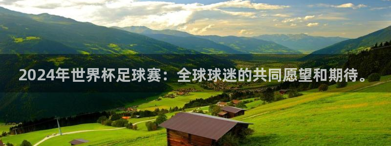 2024年世界杯足球赛：全球球迷的共同愿望和期待。