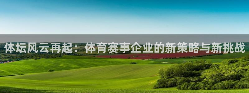 体坛风云再起：体育赛事企业的新策略与新挑战
