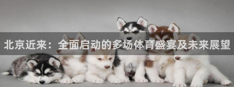 北京近来：全面启动的多场体育盛宴及未来展望
