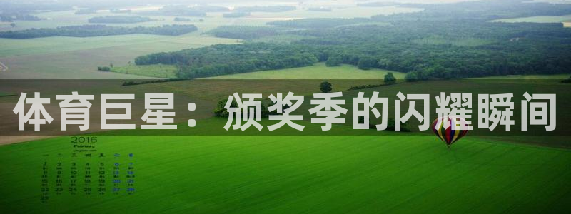体育巨星：颁奖季的闪耀瞬间