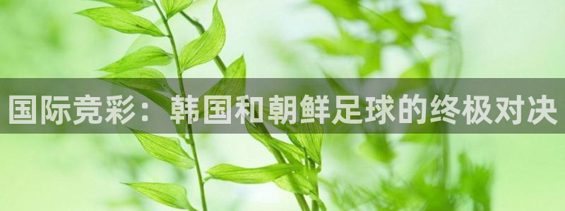 国际竞彩：韩国和朝鲜足球的终极对决