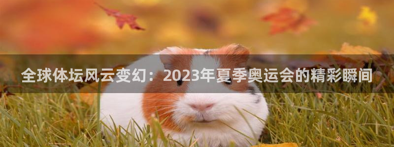 全球体坛风云变幻：2023年夏季奥运会的精彩瞬间