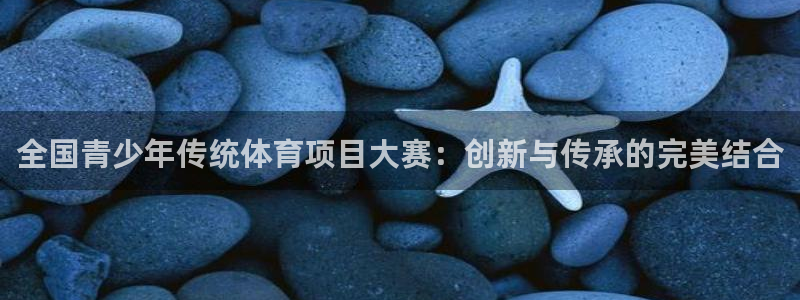 全国青少年传统体育项目大赛：创新与传承的完美结合