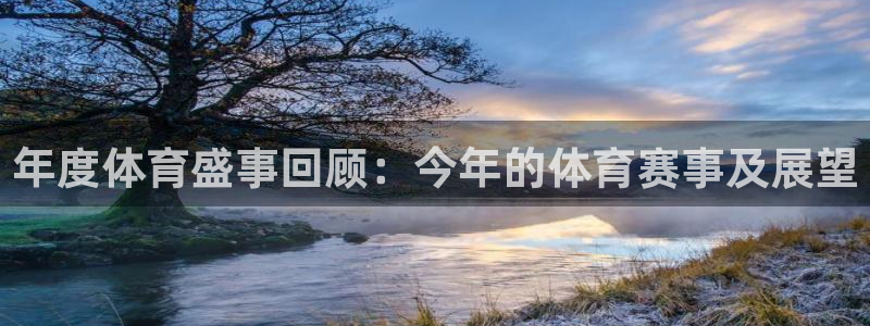 年度体育盛事回顾：今年的体育赛事及展望