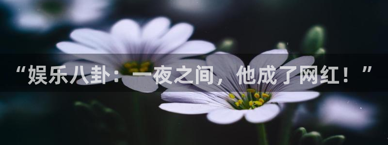 “娱乐八卦：一夜之间，他成了网红！”