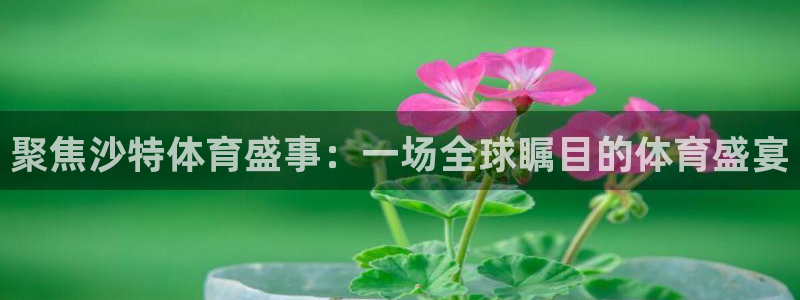 聚焦沙特体育盛事：一场全球瞩目的体育盛宴