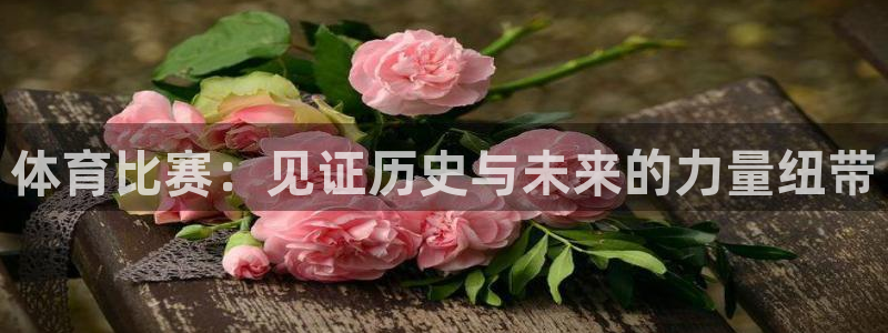 体育比赛：见证历史与未来的力量纽带