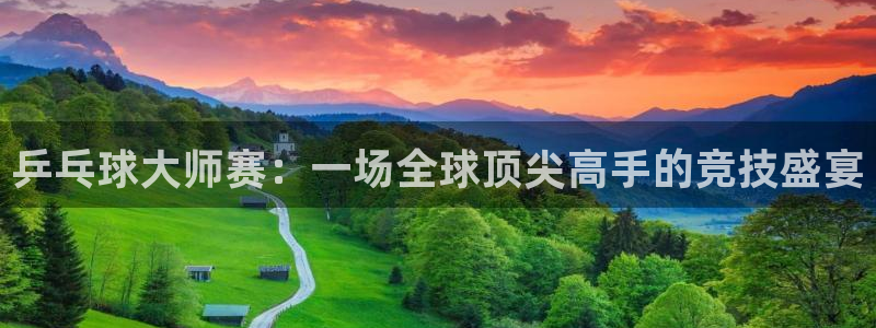 乒乓球大师赛：一场全球顶尖高手的竞技盛宴