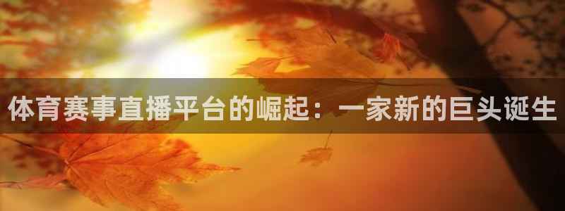 体育赛事直播平台的崛起：一家新的巨头诞生