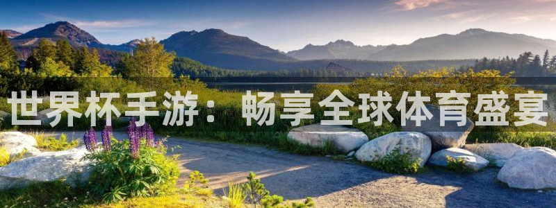 世界杯手游：畅享全球体育盛宴